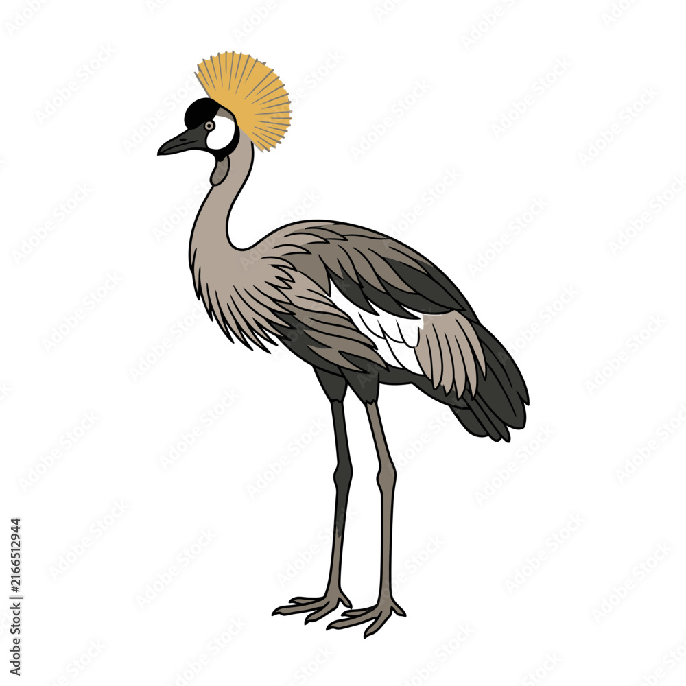 Naklejka premium Graceful crowned crane standing tall in profile.