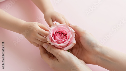 Intergenerational Love - Adult and Child Hands Cradling a Pink Rose for Little Girl Giving Flowers to Mom, International Women's Day, and Family Appreciation Themes
