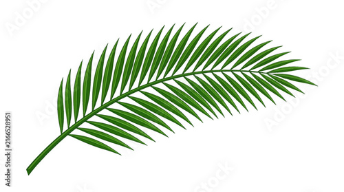 Set of realistic green palm leaves isolated on white background, tropical coconut fronds vector illustration, diagonal composition