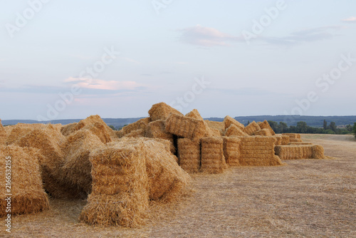Stacked straw bales in a harvested field with a wide pastel sky and distant rural landscape.