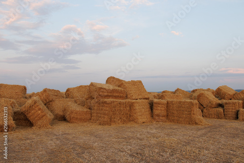 Large stack of rectangular straw bales in an open harvested field, representing agricultural harvest and rural life.