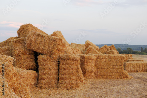 Large rectangular straw bales stacked in a harvested field, creating a rustic agricultural landscape under a pastel sky.