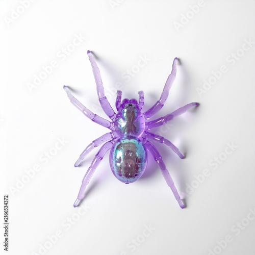 Purple toy spider isolated on white background flat lay
