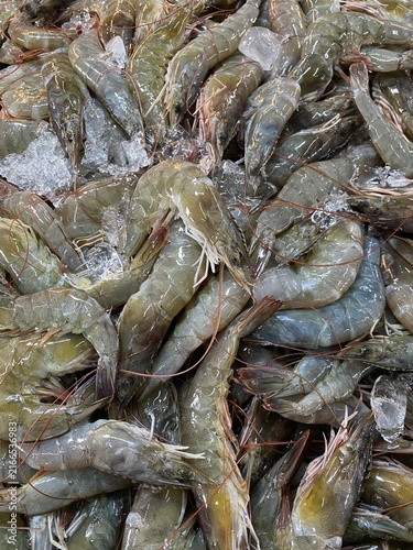 fresh shrimp and fish available in the market.