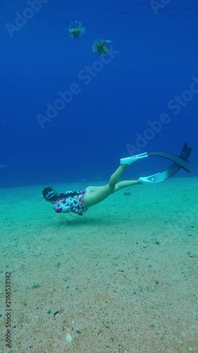 Girl in freediving equipment in blue depths watches two Red lionfish swimming above her. Young woman snorkeler swim beneath pair of lionfish, looking at these graceful predators.