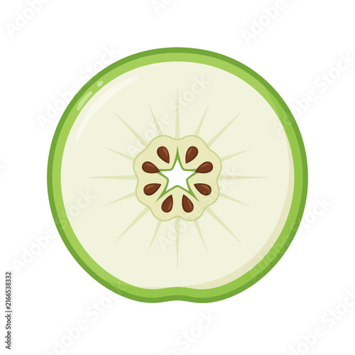 Back to School Green apple slice vector illustration, fresh fruit cross section with seeds, organic granny smith apple graphic isolated on White Background Vactor EPS