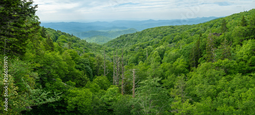 Appalachian mountains