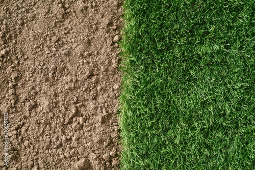 Green Grass and Brown Soil Texture Contrast