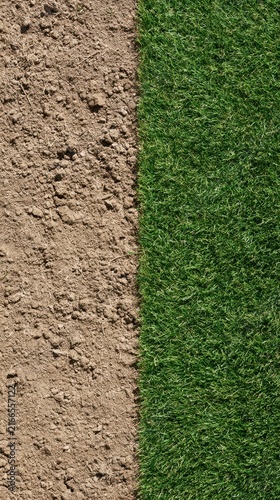Fresh Green Grass Meets Dry Brown Soil