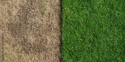 Green and Brown Grass Contrast: Healthy Thriving Lawn vs. Dry Dead Parched Ground