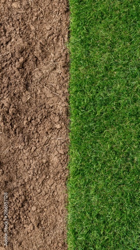 Divided Surface: Lush Green Grass and Fertile Brown Soil Texture