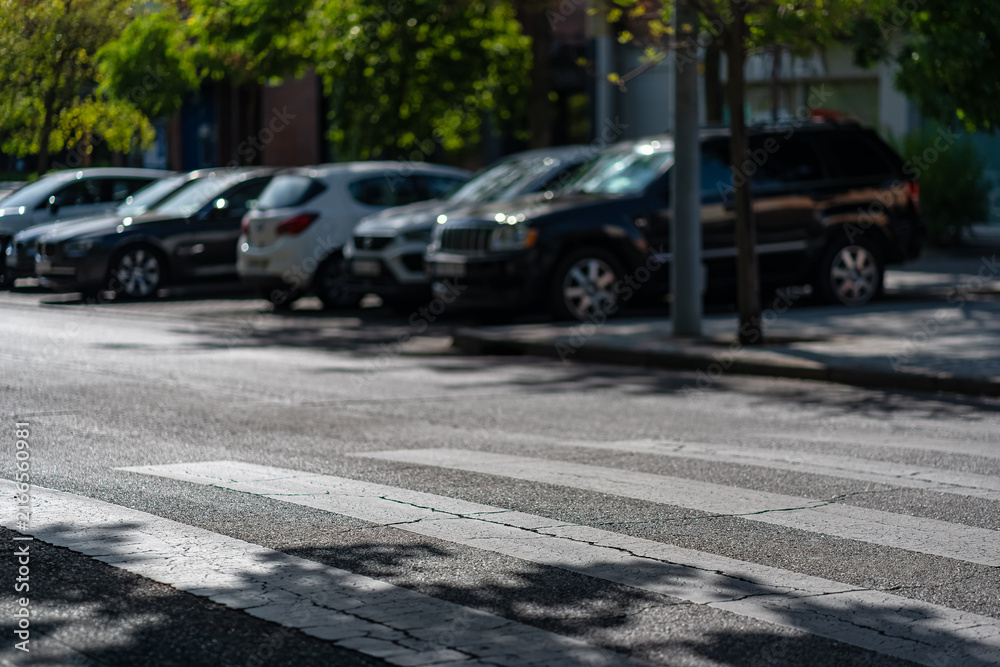 Fototapeta premium Empty zebra crosswalk on a sunlit urban road with parked cars softly blurred in the background