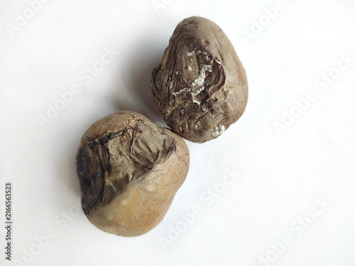 Two rotten potatoes with wrinkled skin and visible mold isolated on a white background, illustrating food spoilage, decay, waste, and deterioration.