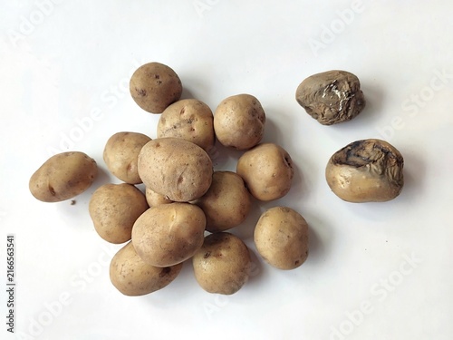 Fresh raw potatoes arranged on a clean white background, showcasing natural organic vegetables, healthy food ingredients, and rustic farm produce.