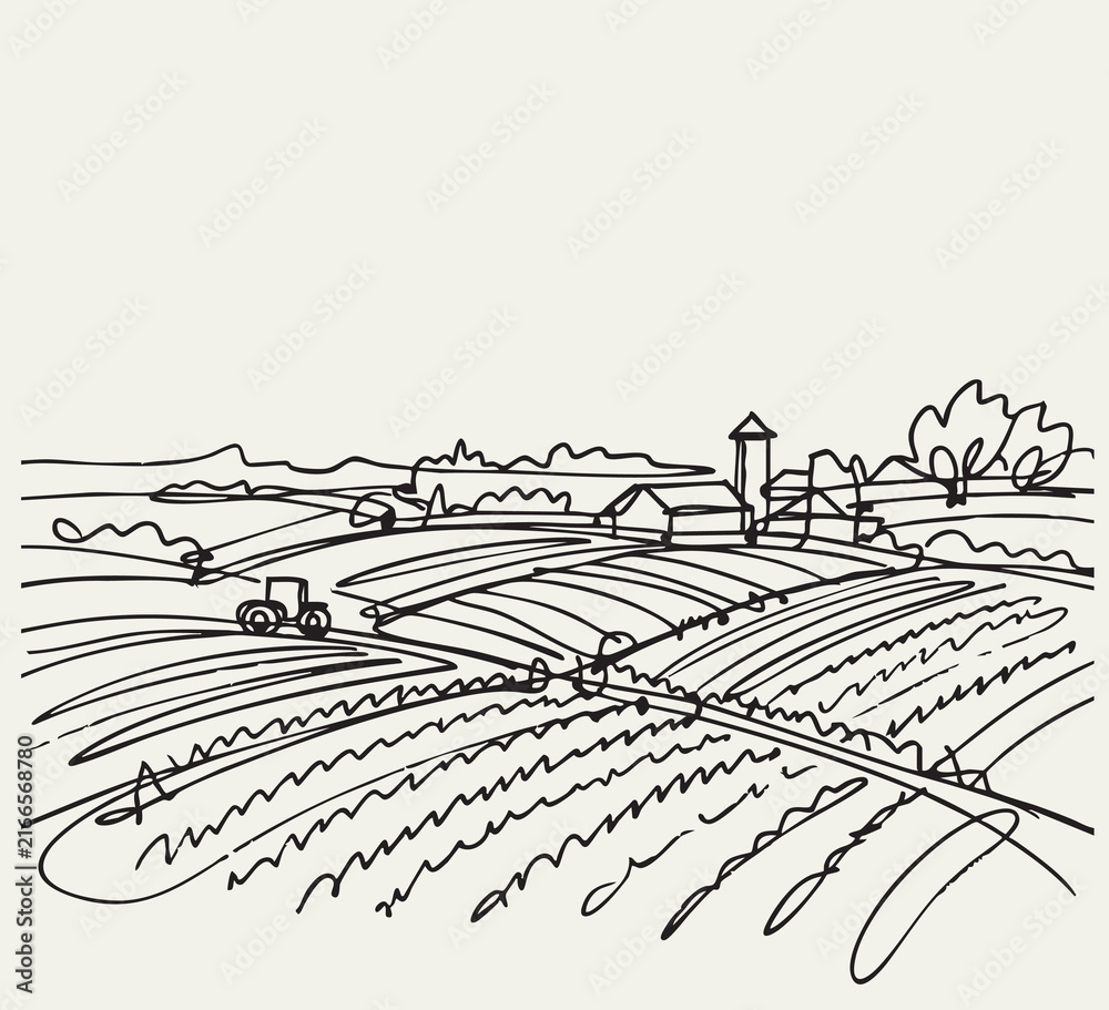 Fototapeta premium Line sketch abstract harvest fields sketch