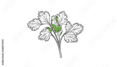 Delicate white flowers with green stems and leaves.