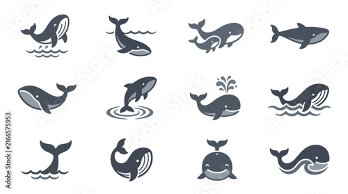 Playful Whale Illustrations in Various Poses.