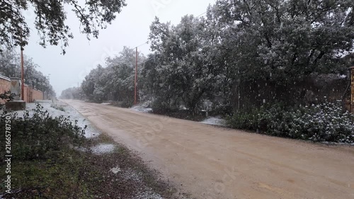 Snow falling on a wet rural dirt road lined with trees and walls during overcast winter weather