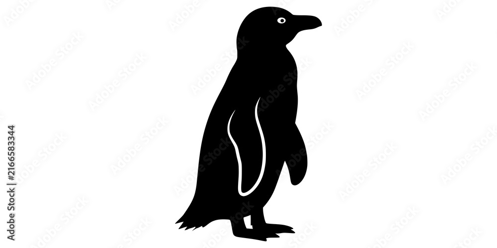 Fototapeta premium African penguin isolated on a black background