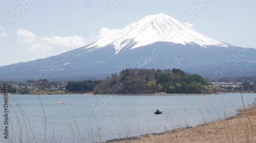 landscape cinematic scene of Mount Fuji famous volcano mountain with fountain grass field and lake kawaguchi perfectly reflected on the still waters of the Lake with windy and clear sky in spring