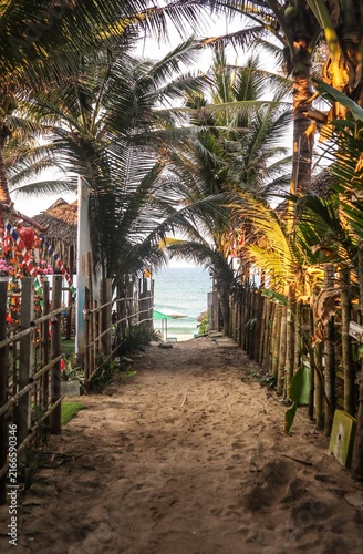 Картината върху платно Chemin paradisiaque vers la plage, Hoi An, Vietnam
