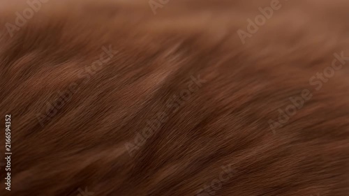 Close view of brown hair strands flowing in soft waves across a textured surface