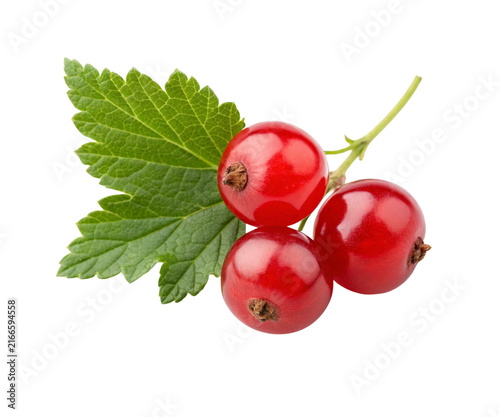 Fresh Red Currant Berries with Green Leaf Isolated on White Background