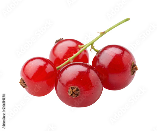 Small Cluster of Fresh Red Currant Berries Isolated on White Background