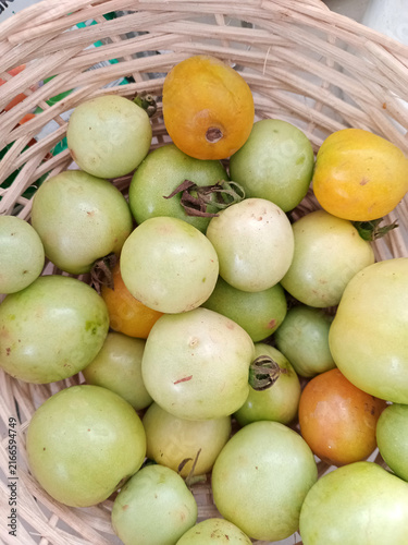 Unripe and ripening cherry tomatoes in a woven basket, showing garden fresh produce and harvest bounty
