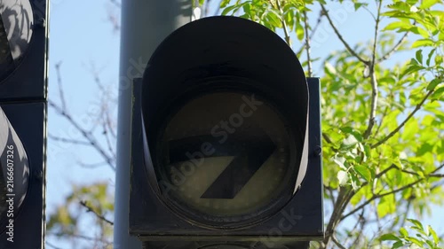 Blinking right turn arrow traffic signal framed by green leaves on a sunny street
