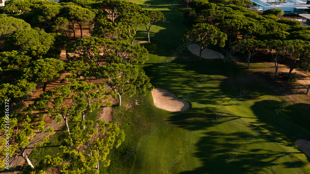 Fototapeta premium Aerial view of a lush green park with a pathway bisecting the manicured lawn and surrounded by dense trees on a sunny day Stock Photo