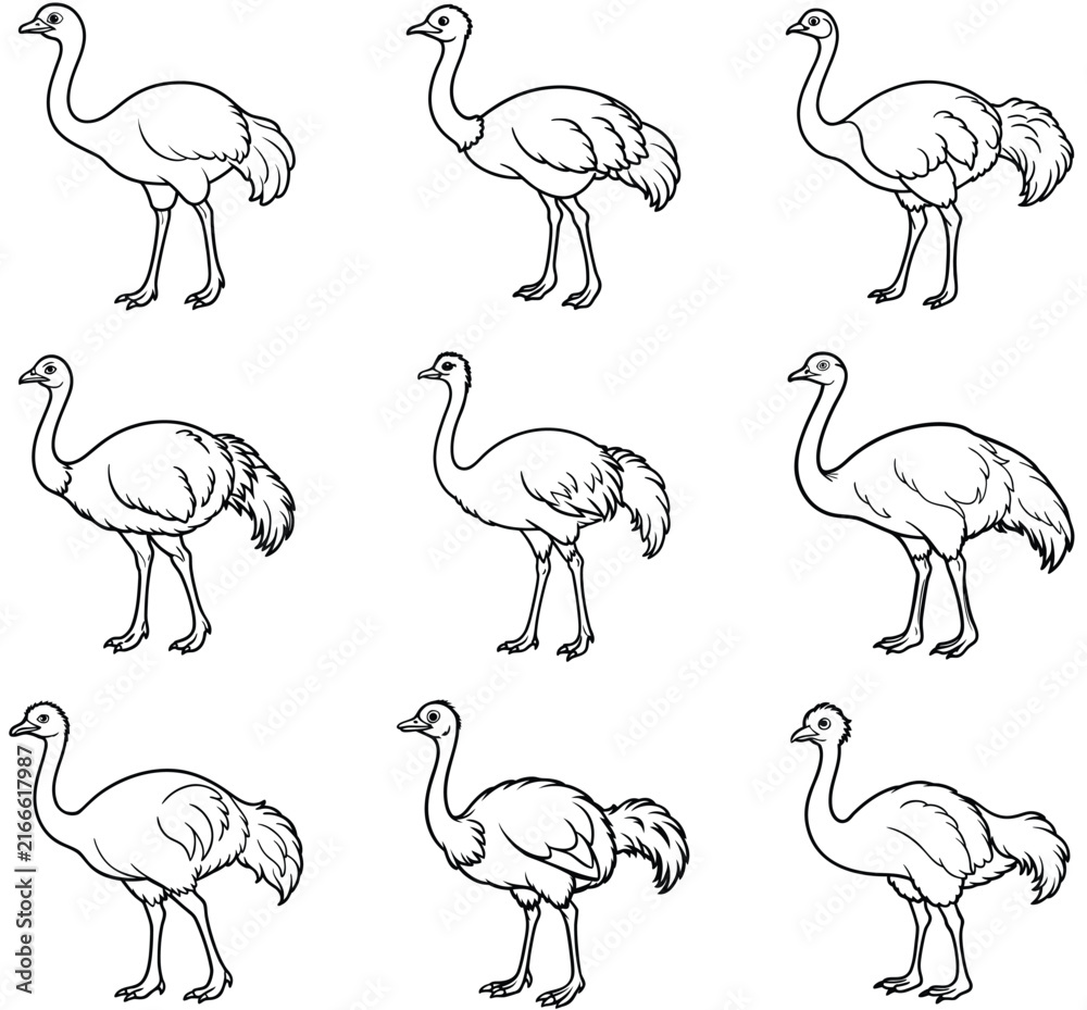 Naklejka premium Sketch of an ostrich walking with detailed feathers and long legs in black ink drawing