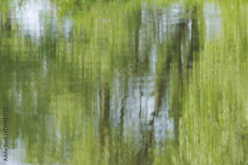 Картината върху платно Vertical lines in the lake due to the reflection of trees, rippled lake, greenis
