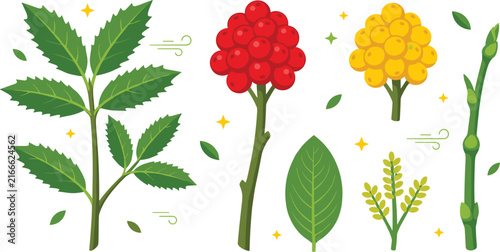 Flat Botanical Vector Illustration Set Featuring Green Leaves Red and Yellow Berries Twigs and Decorative Elements for Nature and Autumn Graphic Designs