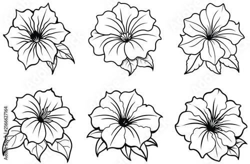 Peony flowers isolated vector illustration. Vector wildflowers for background. Abstract botanical art. Simple minimalist art set. Continuous line drawin