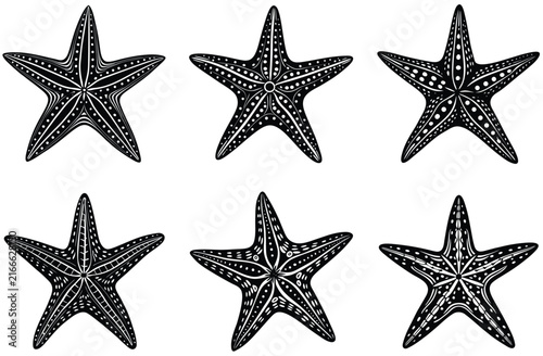 Starfish icon in flat style