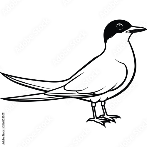 Budgerigar birds silhouette icon set, flat black glyph style, pure white background