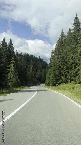 Point of view driving footage on an empty mountain road through dense green forest, ideal for travel, road trip, adventure and scenic nature projects.
