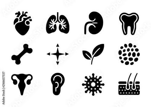 Set of black silhouette representing human anatomy, biological organs, and medical science concepts