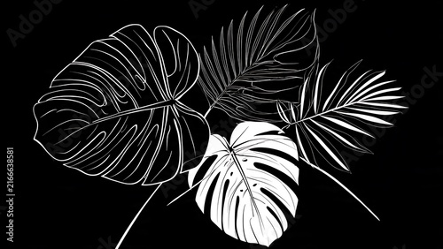 White line drawing of tropical monstera and palm leaves on black background isolated on transparent background