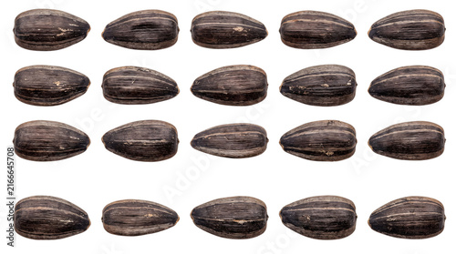 Fotografie Grid of sunflower seeds with dark striped pattern png on isolated transparent ba