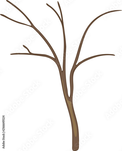 Brown tree trunk without leaves