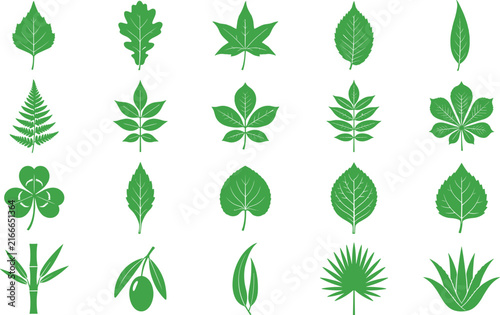  Green leaf silhouette icon set featuring various tree foliage plant types and botanical organic symbols for nature graphic designs