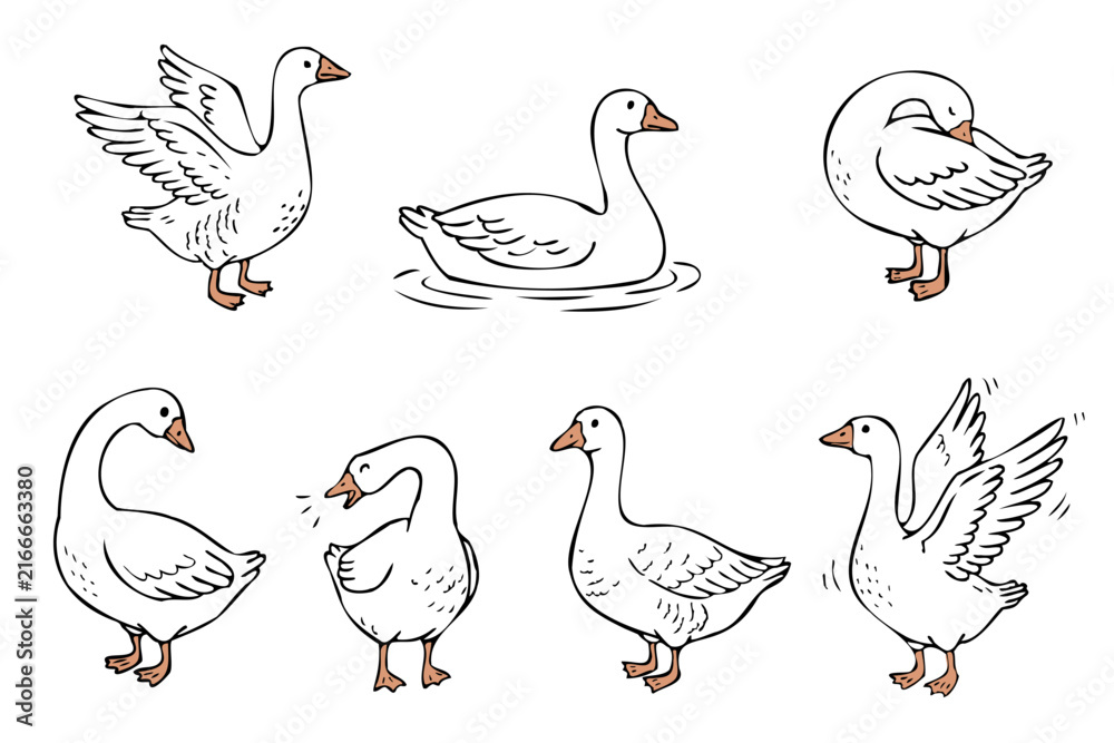 Fototapeta premium Hand drawn goose characters set vector illustration