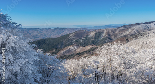 Canvastavla Frost-Covered Forest and Mountain Ridges in Campigna, Italy