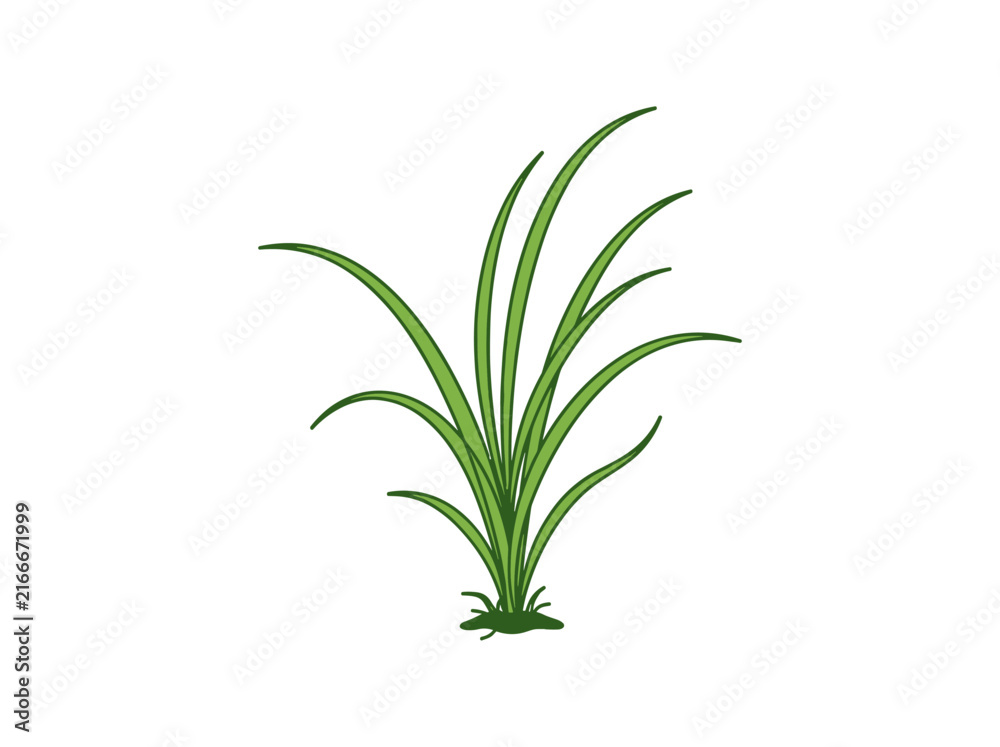 Fototapeta premium Green grass clump vector illustration isolated on white background