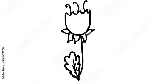 Hand drawn flower doodle line art, minimalist bloom with leaf on white background

