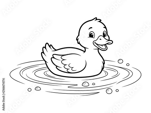 Cuadro en lienzo Cute cartoon duck swimming in water ripples isolated on transparent background