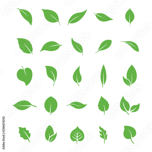 Green Leaves Icon Set – Black Leaf Silhouettes, Botanical Foliage and Natural Plant Vector Collection .eps10
