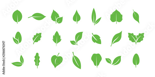 Green Leaves Icon Set – Black Leaf Silhouettes, Botanical Foliage and Natural Plant Vector Collection .eps10